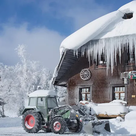 Drei Tannen - 06 - Apartmenthaus, Titisee, Nahe Badeparadies טיטיזי-נוישטאדט