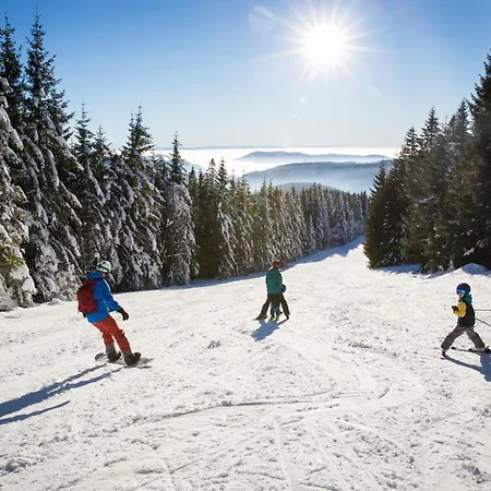 דירה Drei Tannen - 06 - Apartmenthaus, Titisee, Nahe Badeparadies