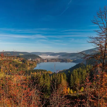 Drei Tannen - 06 - Apartmenthaus, Titisee, Nahe Badeparadies דירה *