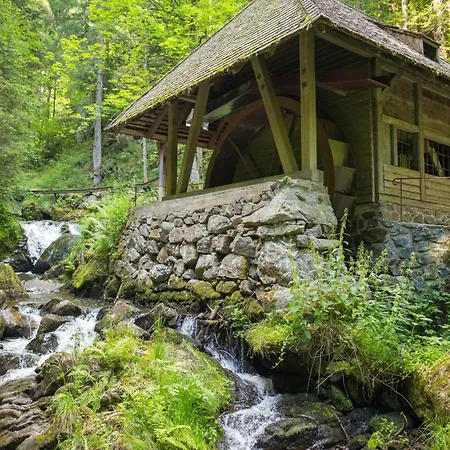 Drei Tannen - 06 - Apartmenthaus, Titisee, Nahe Badeparadies * טיטיזי-נוישטאדט