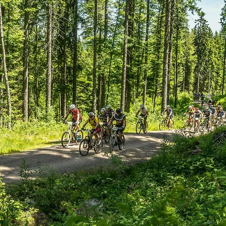 Drei Tannen - 06 - Apartmenthaus, Titisee, Nahe Badeparadies דירה