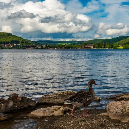 דירה Drei Tannen - 06 - Apartmenthaus, Titisee, Nahe Badeparadies טיטיזי-נוישטאדט