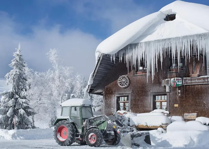 Drei Tannen - 06 - Apartmenthaus, Titisee, Nahe Badeparadies تيتيسي نيوستادت