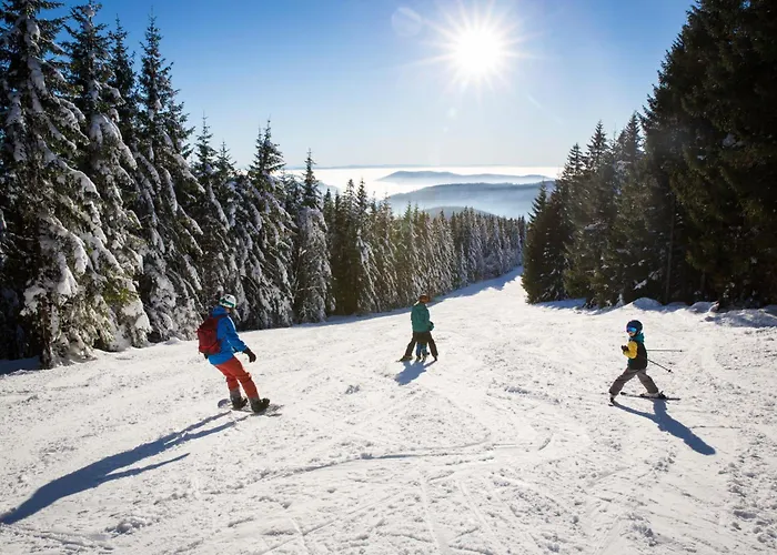 شقة Drei Tannen - 06 - Apartmenthaus, Titisee, Nahe Badeparadies