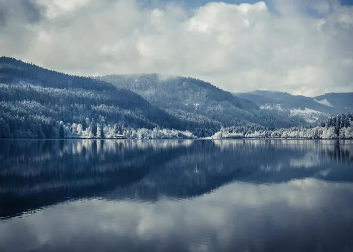 Drei Tannen - 06 - Apartmenthaus, Titisee, Nahe Badeparadies * تيتيسي نيوستادت