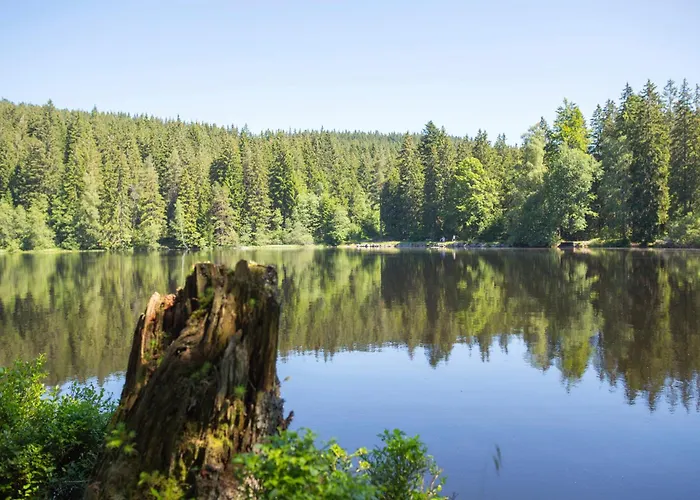 شقة Drei Tannen - 06 - Apartmenthaus, Titisee, Nahe Badeparadies تيتيسي نيوستادت