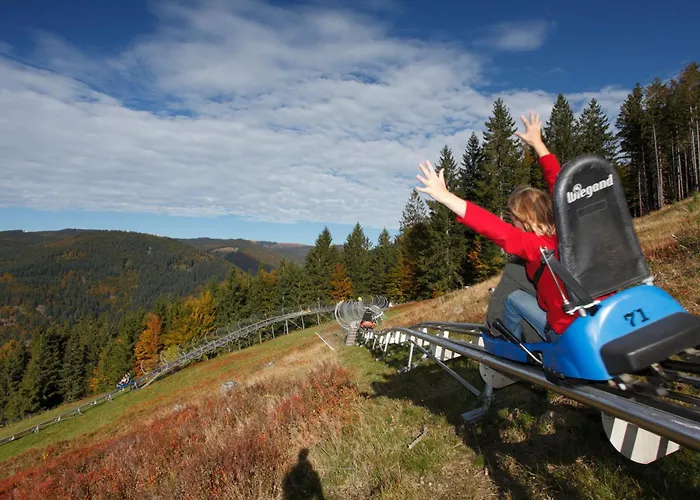 Drei Tannen - 06 - Apartmenthaus, Titisee, Nahe Badeparadies * تيتيسي نيوستادت