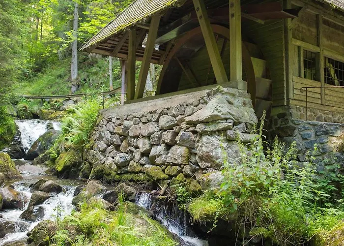 Drei Tannen - 06 - Apartmenthaus, Titisee, Nahe Badeparadies * تيتيسي نيوستادت