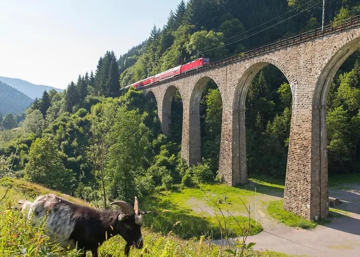 شقة Drei Tannen - 06 - Apartmenthaus, Titisee, Nahe Badeparadies