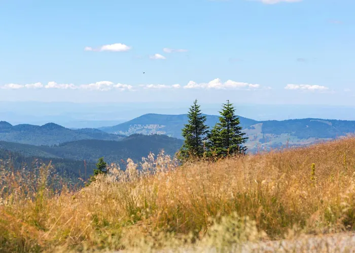 شقة Drei Tannen - 06 - Apartmenthaus, Titisee, Nahe Badeparadies *