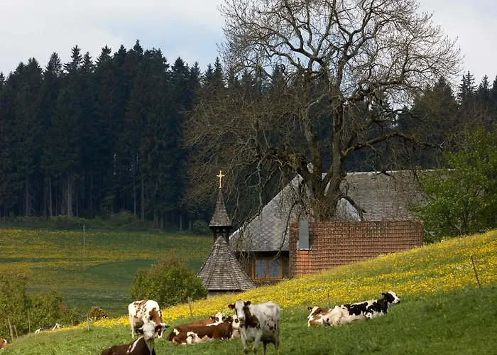 Drei Tannen - 06 - Apartmenthaus, Titisee, Nahe Badeparadies شقة تيتيسي نيوستادت