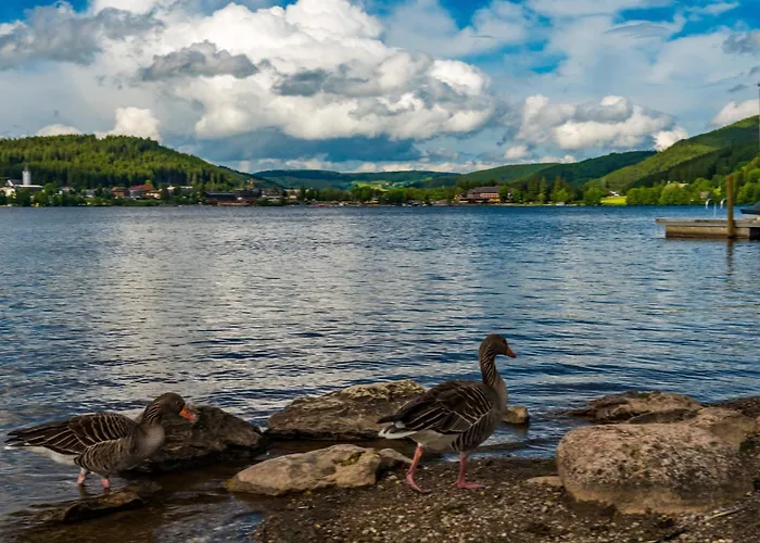 شقة Drei Tannen - 06 - Apartmenthaus, Titisee, Nahe Badeparadies تيتيسي نيوستادت